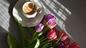 Felicitări de 1 Martie 2024! Mărțișoare virtuale pentru persoanele dragi din viața ta